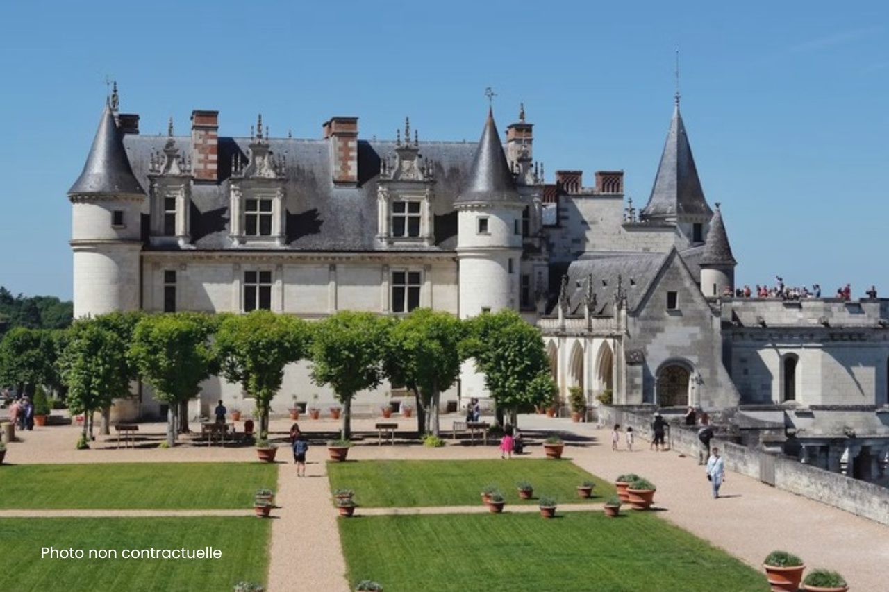 Propriété de standing avec piscine et parc arboré-Amboise